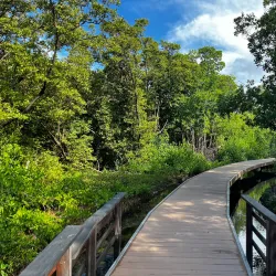 Nature Reserve near Groteberg - Groteberg