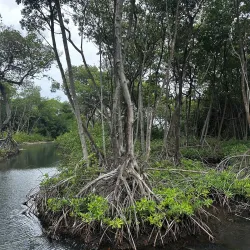 Nature Reserve near Groteberg - Groteberg