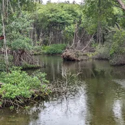 Nature Reserve near Groteberg - Groteberg