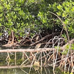 Nature Reserve near Groteberg - Groteberg
