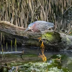 Nature Reserve near Groteberg - Groteberg