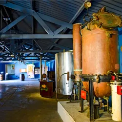Curacao Liqueur Distillery - Hato