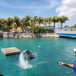 Curacao Sea Aquarium - Hato