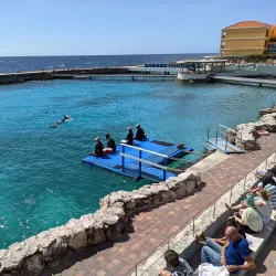 Curacao Sea Aquarium - Hato