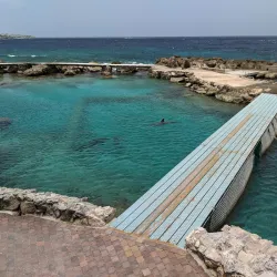 Curacao Sea Aquarium - Hato