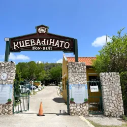 Hato Plantation - Hato