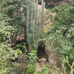 Hato Plantation - Hato