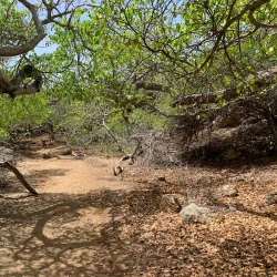 Shete Boka National Park - Hato