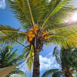 Jan Thiel Beach - Jan Thiel