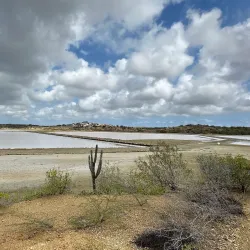 Jan Thiel Salt Pans - Jan Thiel