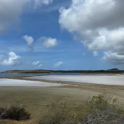 Jan Thiel Salt Pans - Jan Thiel