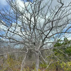 Jan Thiel Salt Pans - Jan Thiel