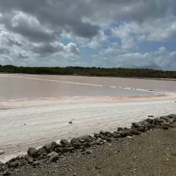 Jan Thiel Salt Pans - Jan Thiel