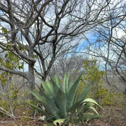 Jan Thiel Salt Pans - Jan Thiel