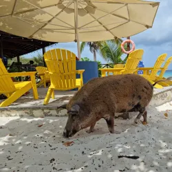 Playa Porto Mari - Jan Thiel