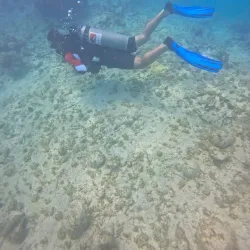 Scuba Do Dive Center - Jan Thiel