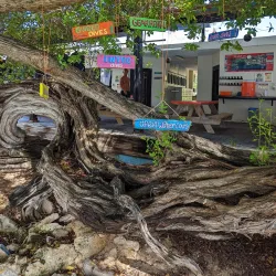 Scuba Do Dive Center - Jan Thiel