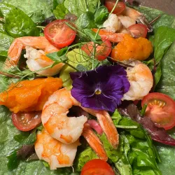 The Pier Jan Thiel - Jan Thiel