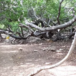 Boka Tabla - Jongbloed