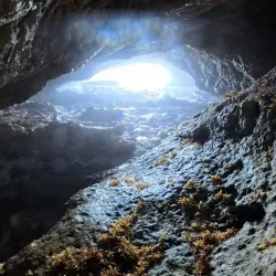 Boka Tabla - Jongbloed