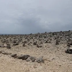 Boka Tabla - Jongbloed