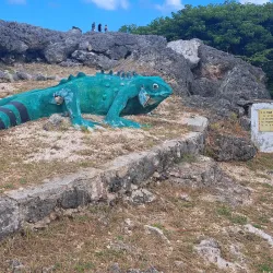 Boka Tabla - Jongbloed
