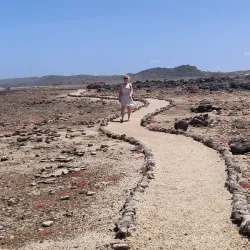 Boka Tabla - Jongbloed