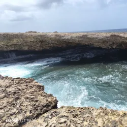 Boka Wandomi - Jongbloed