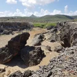 Boka Wandomi - Jongbloed