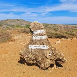 Boka Wandomi - Jongbloed