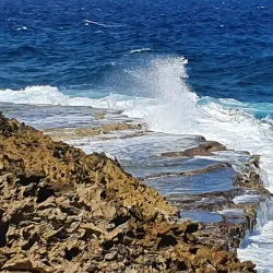 Boka Wandomi - Jongbloed