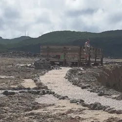 Boka Wandomi - Jongbloed