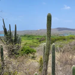 Landhuis Klein Santa Martha - Jongbloed