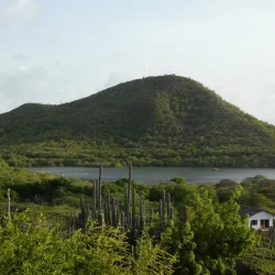 Landhuis Klein Santa Martha - Jongbloed