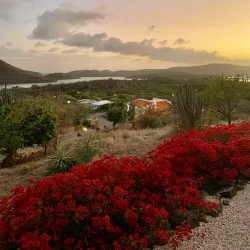 Landhuis Klein Santa Martha - Jongbloed
