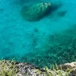 Playa Forti - Jongbloed