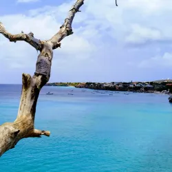 Playa Forti - Jongbloed