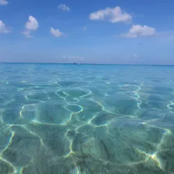 Playa Jeremi - Jongbloed