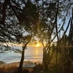 Playa Jeremi - Jongbloed