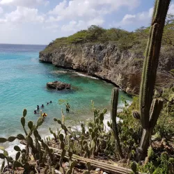 Playa Jeremi - Jongbloed