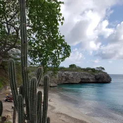 Playa Jeremi - Jongbloed