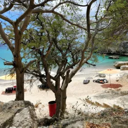 Playa Jeremi - Jongbloed