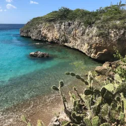 Playa Jeremi - Jongbloed