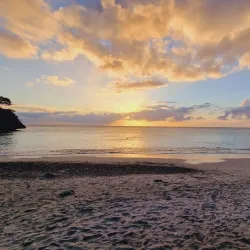 Playa Jeremi - Jongbloed