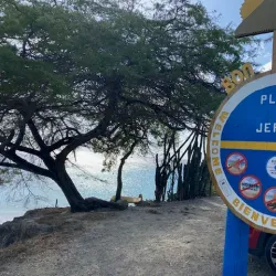 Playa Jeremi - Jongbloed