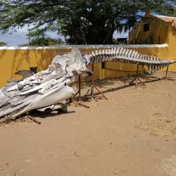 Savonet Museum - Jongbloed