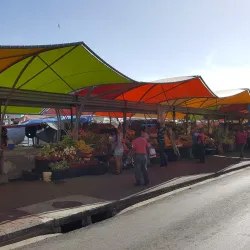 Floating Market - Willemstad