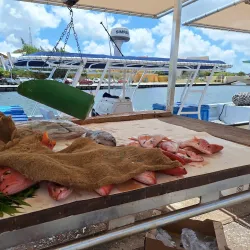 Floating Market - Willemstad
