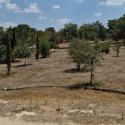 Aglantzia Municipal Park - Aglantzia