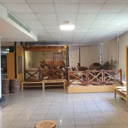 Cyprus Museum of Natural History - Aglantzia